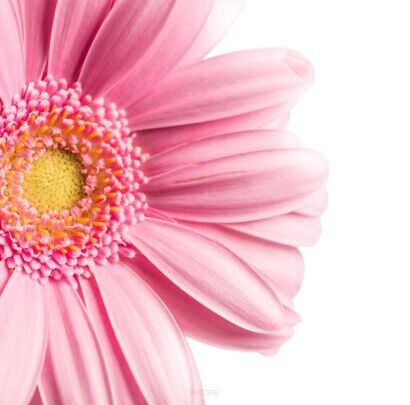 Kompozycje zapachowe