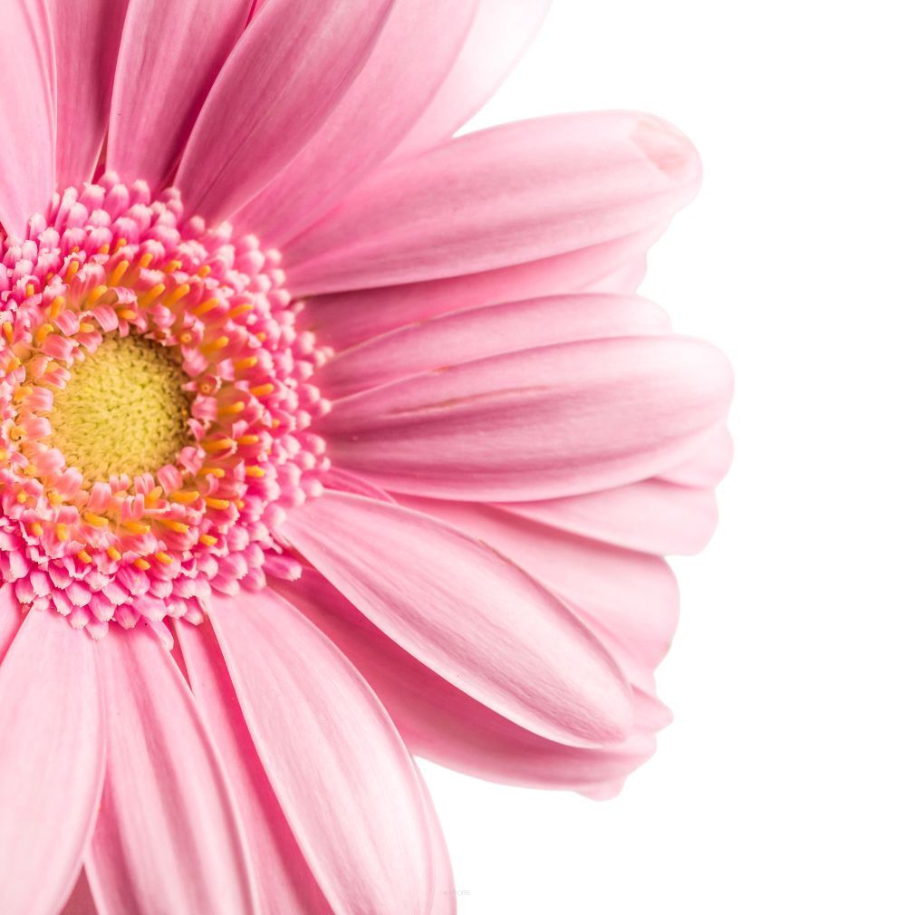 Kompozycja zapachowa SUBTLE FLOWERS magia kwiatów 10ml